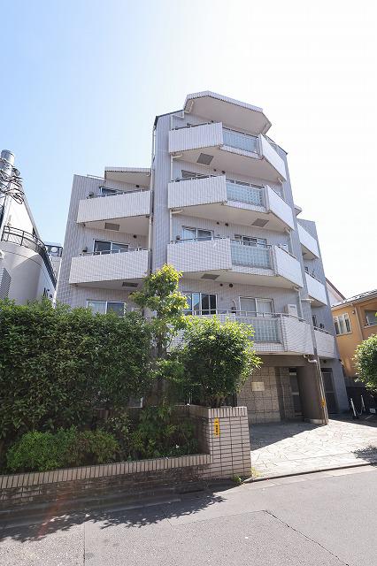 CITY SPIRE 若松町 シティスパイア若松町(1DK/3階)