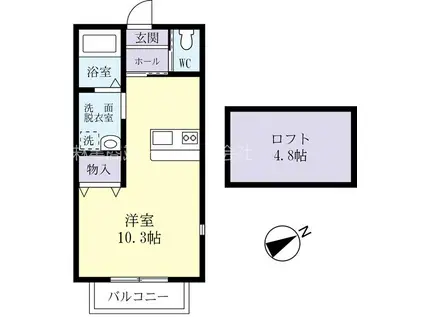 ドリームハウスC棟(ワンルーム/2階)の間取り写真