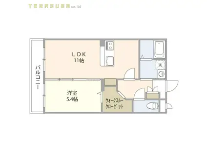 MAISON CATELLE(1LDK/1階)の間取り写真