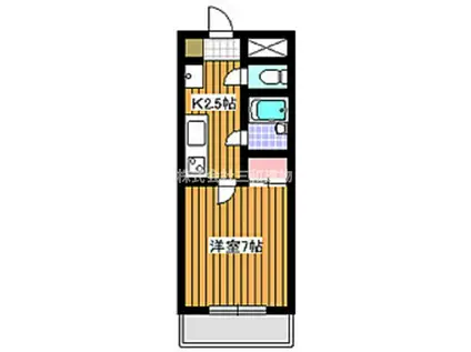 セレーノO・S(1K/8階)の間取り写真