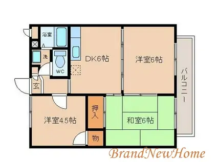 センチュリーハイツ・(3DK/3階)の間取り写真