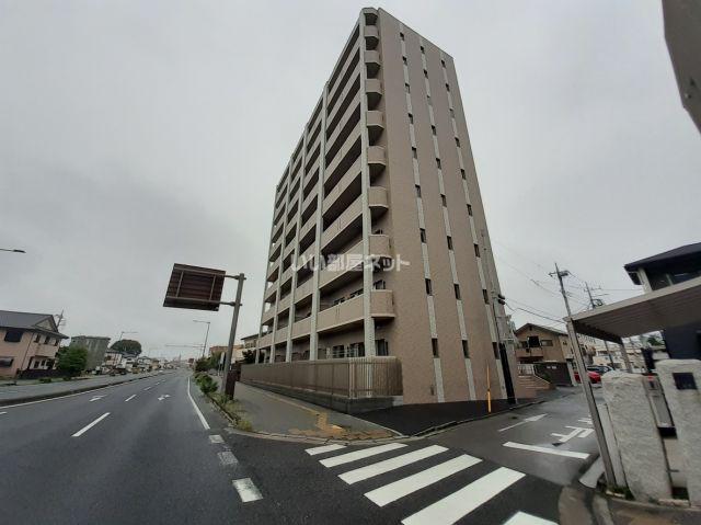 アマルフィーノ(1LDK/7階)