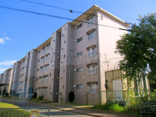 兵庫県川西市 築52年(3LDK/1階)