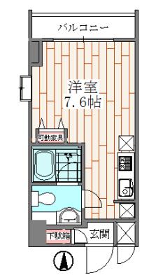 フェリーチェ2939(ワンルーム/5階)の間取り写真