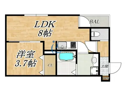 H-MAISON加美正覚寺X アッシュメゾンカミショウカクジ10(1LDK/1階)の間取り写真