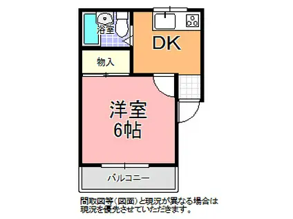 グレイス(1DK/1階)の間取り写真