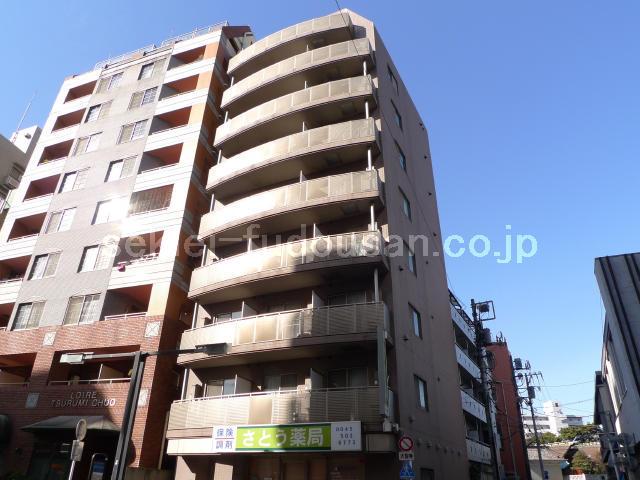 アンリ壱番館(1DK/8階)