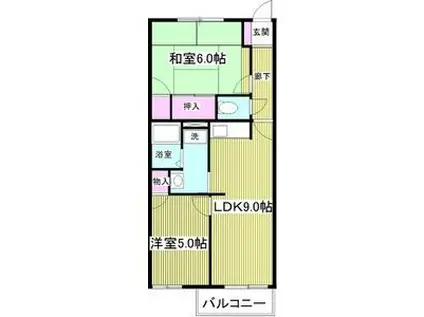 アメニティ亀山(2DK/1階)の間取り写真