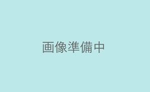 CHOUCHOU北郷57(2LDK/3階)の間取り写真
