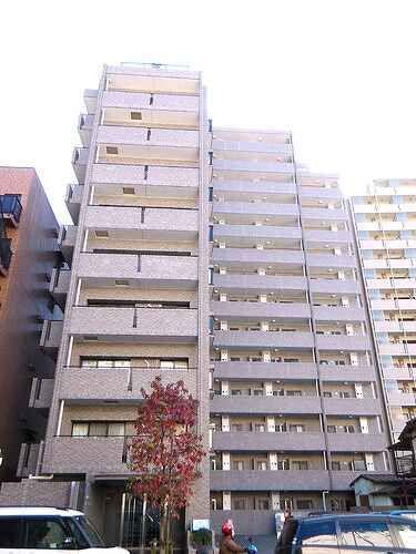 ライオンズマンション本川越駅前(3LDK/11階)