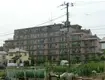 東急ドエルアルス稲毛園生町(3LDK/2階)