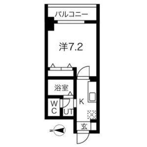 チェルトヴィータ(1K/11階)の間取り写真