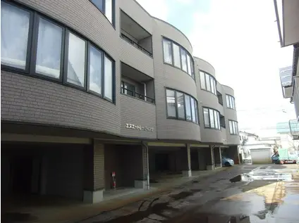 エヌエーマンション(2LDK/3階)の間取り写真