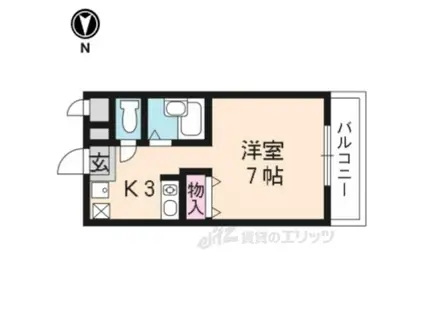 マリンハイツ(1K/1階)の間取り写真