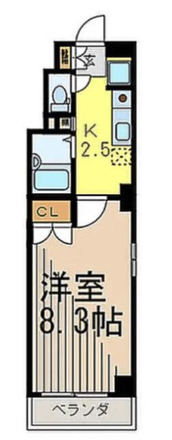 レオローザ菊川(1K/2階)の間取り写真