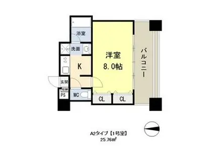 ドゥーエ谷町(1K/13階)の間取り写真