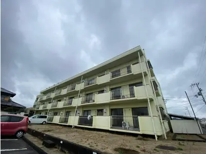 東讃ハイツ(3DK/1階)の外観写真