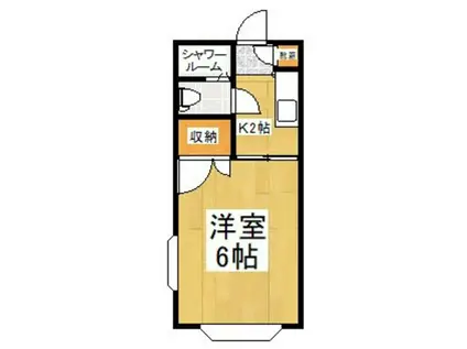 ベルメゾン(1K/1階)の間取り写真