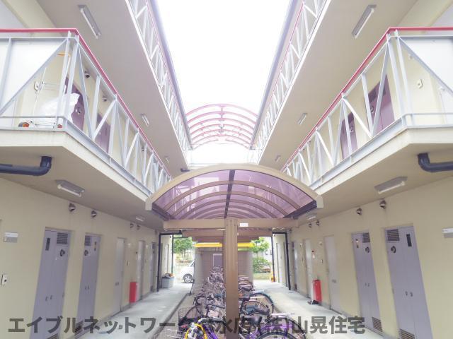ジュネス望星(1K/3階)