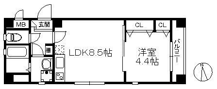 フィオルーナ西新 213(1LDK/2階)の間取り写真