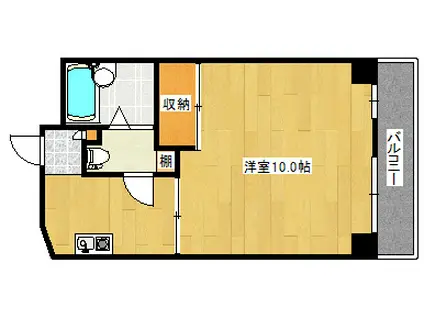 ヴィラ逢谷内(1K/3階)の間取り写真