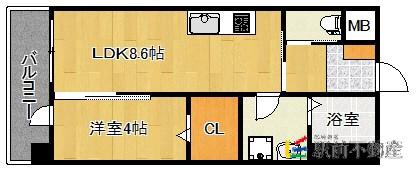 グレイス別府駅前(1LDK/5階)の間取り写真