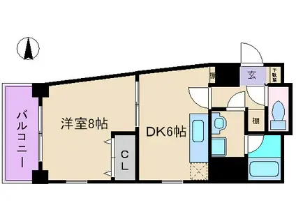 シェリオン(1DK/5階)の間取り写真