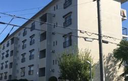 富田団地73号棟(3DK/5階)
