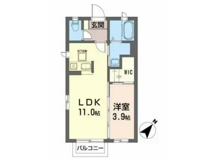 メゾンアルファ葉山(1LDK/1階)の間取り写真