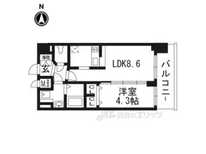 プレサンスTHE KYOTO 彩美(1DK/6階)の間取り写真