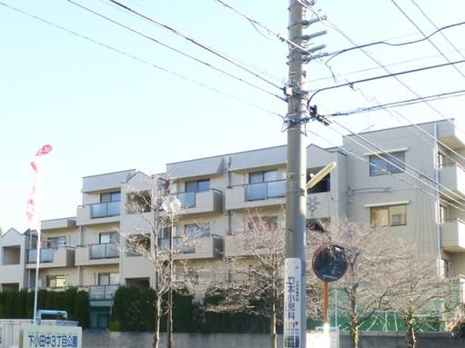 サンアミューズ中原(2LDK/2階)