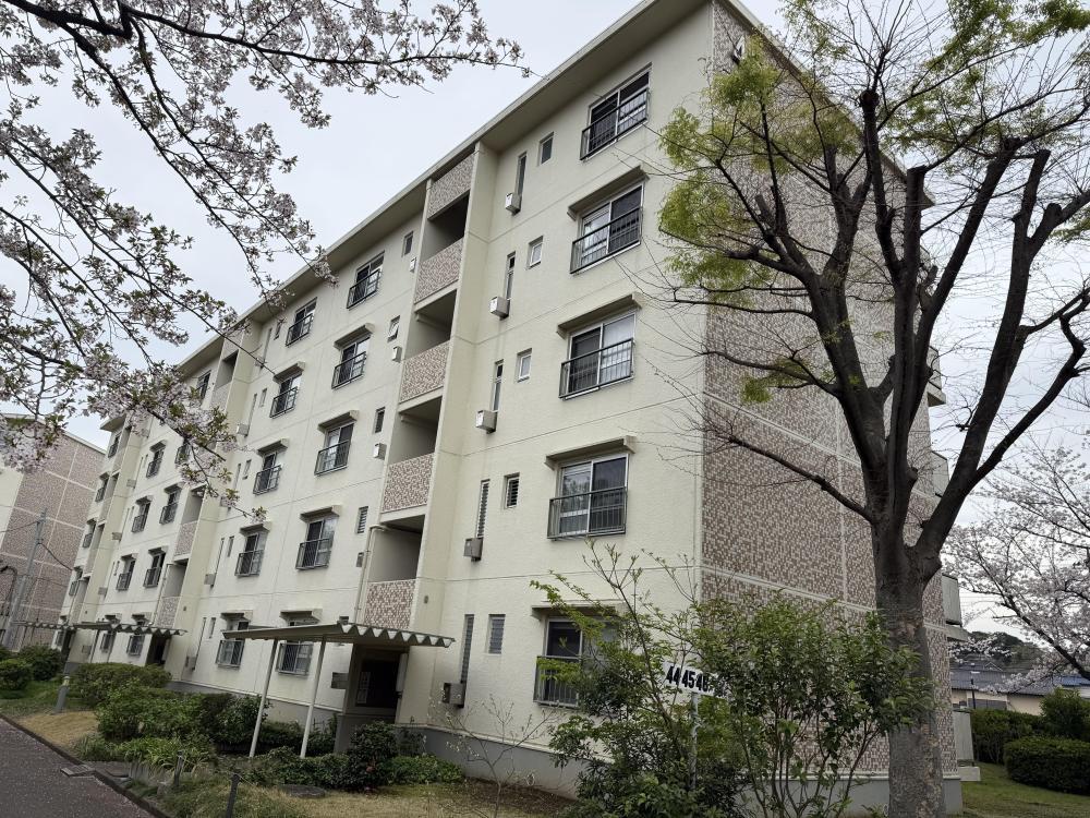 港南台めじろ団地(2LDK/5階)