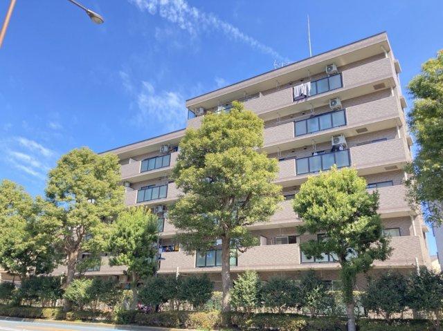 ネオアージュ光が丘(3LDK/1階)