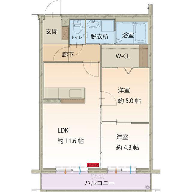 ベーシックマンションIII(2LDK/3階)の間取り写真