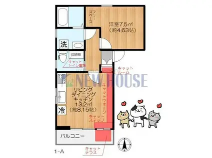 フェリス神楽坂(1LDK/1階)の間取り写真