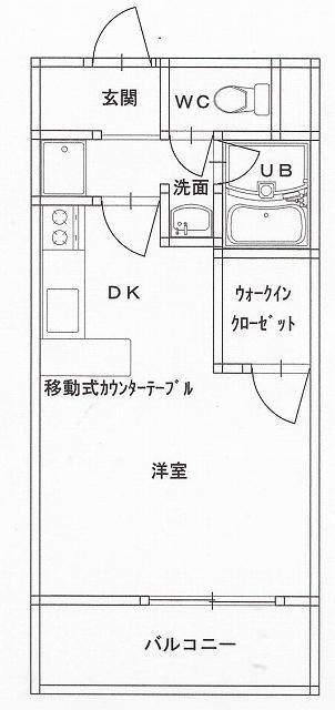 DIチェスナッツヒルズ(ワンルーム/5階)の間取り写真