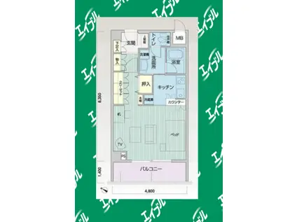 メイビル向陽町(ワンルーム/4階)の間取り写真