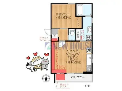 フェリス神楽坂(1LDK/1階)の間取り写真