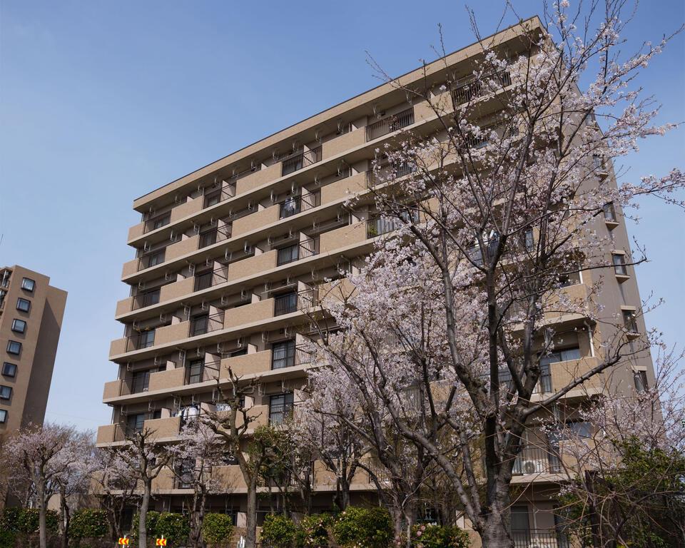 ライフタウン東新潟(2LDK/5階)