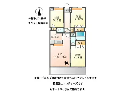 グレイスC.KII(3LDK/3階)の間取り写真