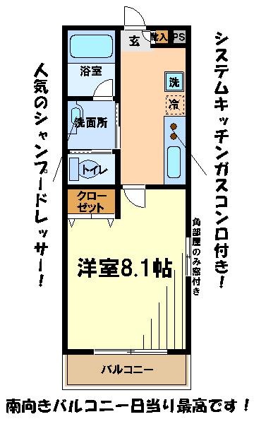 カーサエノモト(1K/3階)の間取り写真