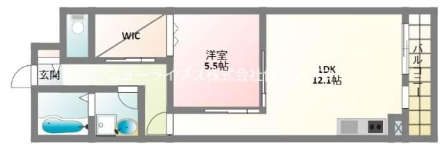 ケーティアイレジデンス大和田C棟(1LDK/2階)の間取り写真