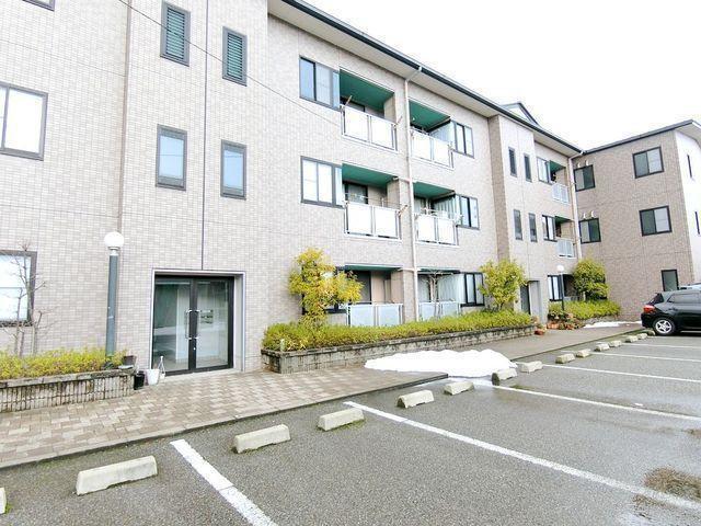 プリメーラ二の宮(1LDK/3階)