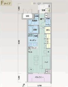 メイビル向陽町(ワンルーム/2階)の間取り写真