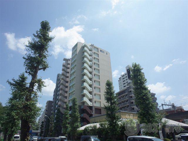 ノアズアーク(1K/11階)