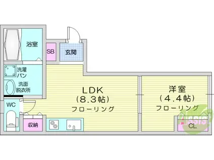 ラフィーノ泉中央(1LDK/1階)の間取り写真