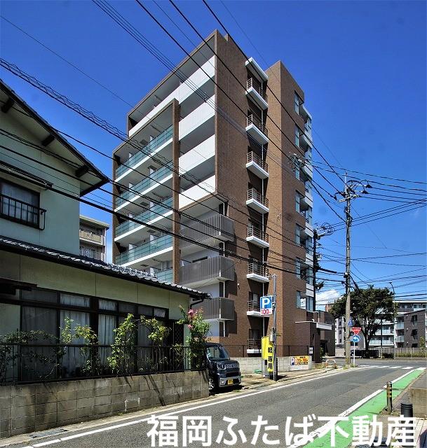 エンブレイス大橋南(1DK/3階)