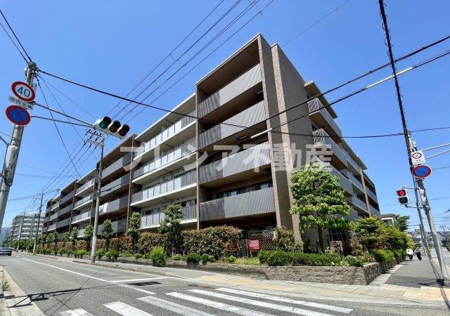 甲子園三番町ハイツ(2SLDK/1階)