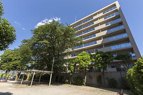 TS GARDEN北柏 2号棟(2LDK/10階)