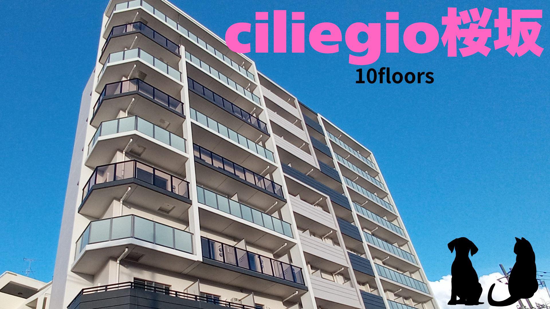 CILIEGIO桜坂(ワンルーム/3階)